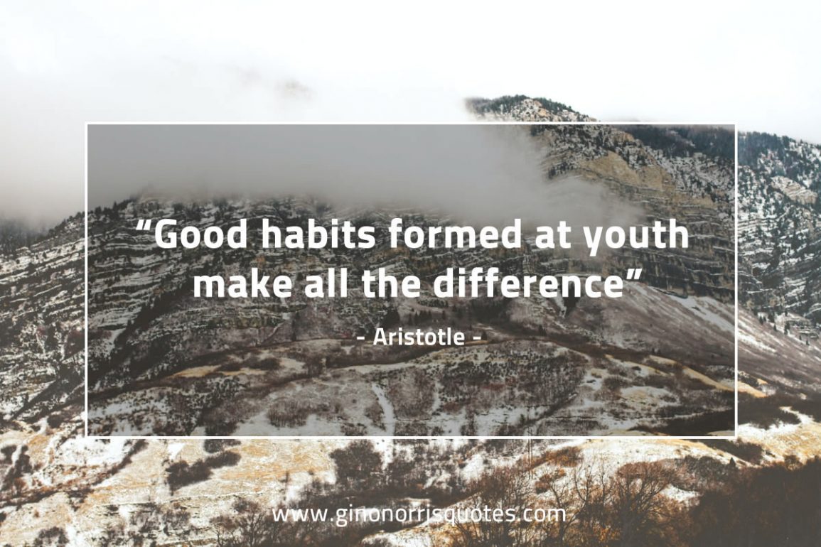 Good_habits_formed_at_youth-AristotleQuotes