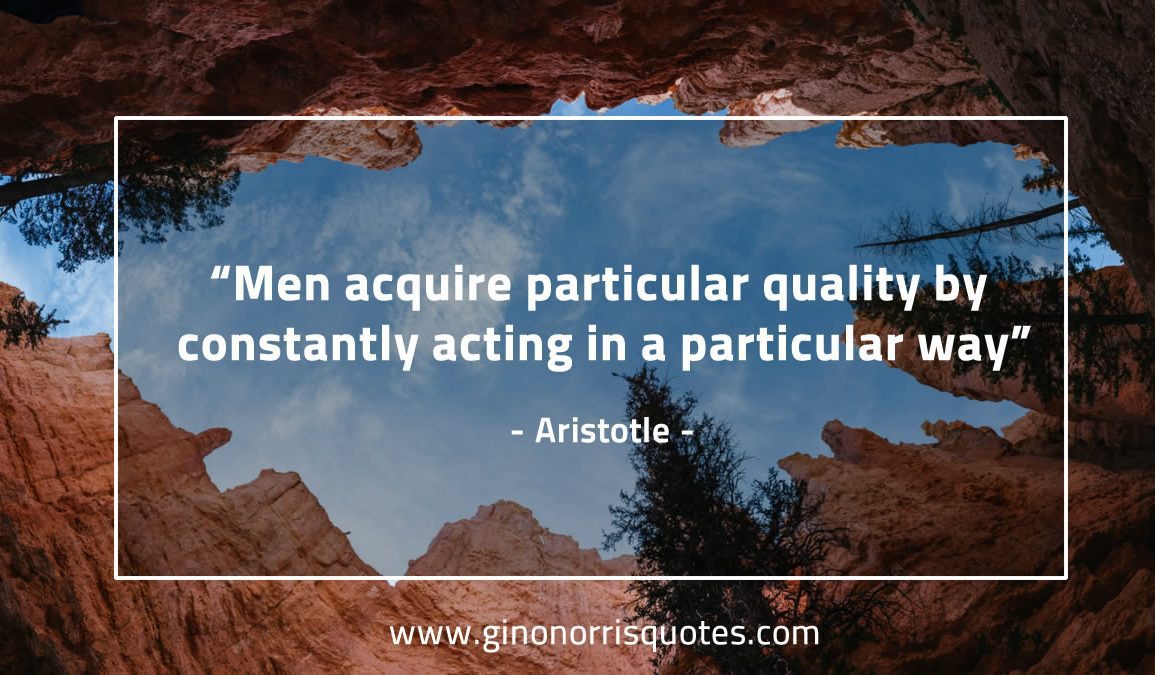 Men_acquire_particular_quality-AristotleQuotes