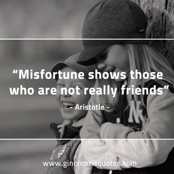 Misfortune_shows_those-AristotleQuotes