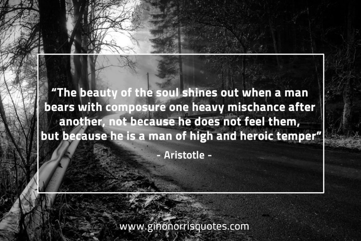 The_beauty_of_the_soul-AristotleQuotes