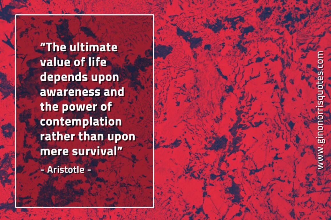 The_ultimate_value_of_life_depends-AristotleQuotes
