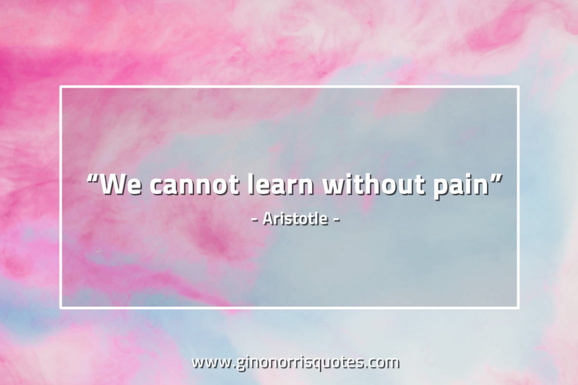 We_cannot_learn_without_pain-AristotleQuotes