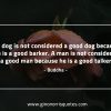 A_dog_is_not_considered-BuddhaQuotes