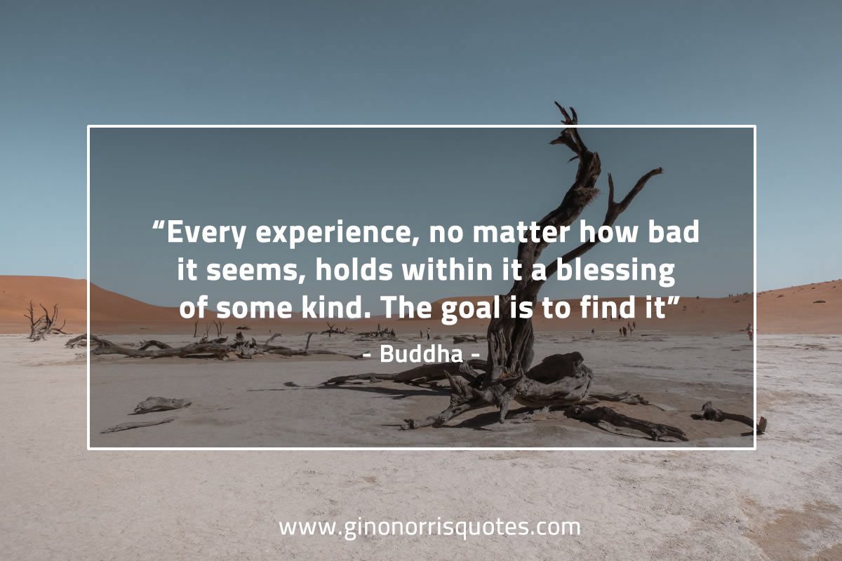 Every_experience_BuddhaQuotes