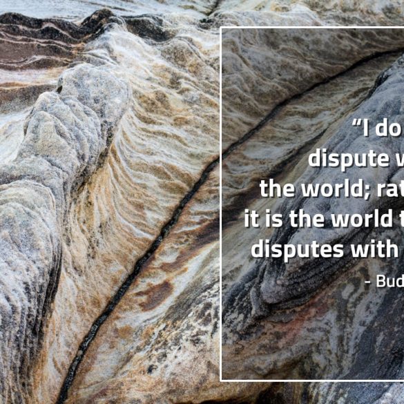 I_do_not_dispute_with_the_world-BuddhaQuotes