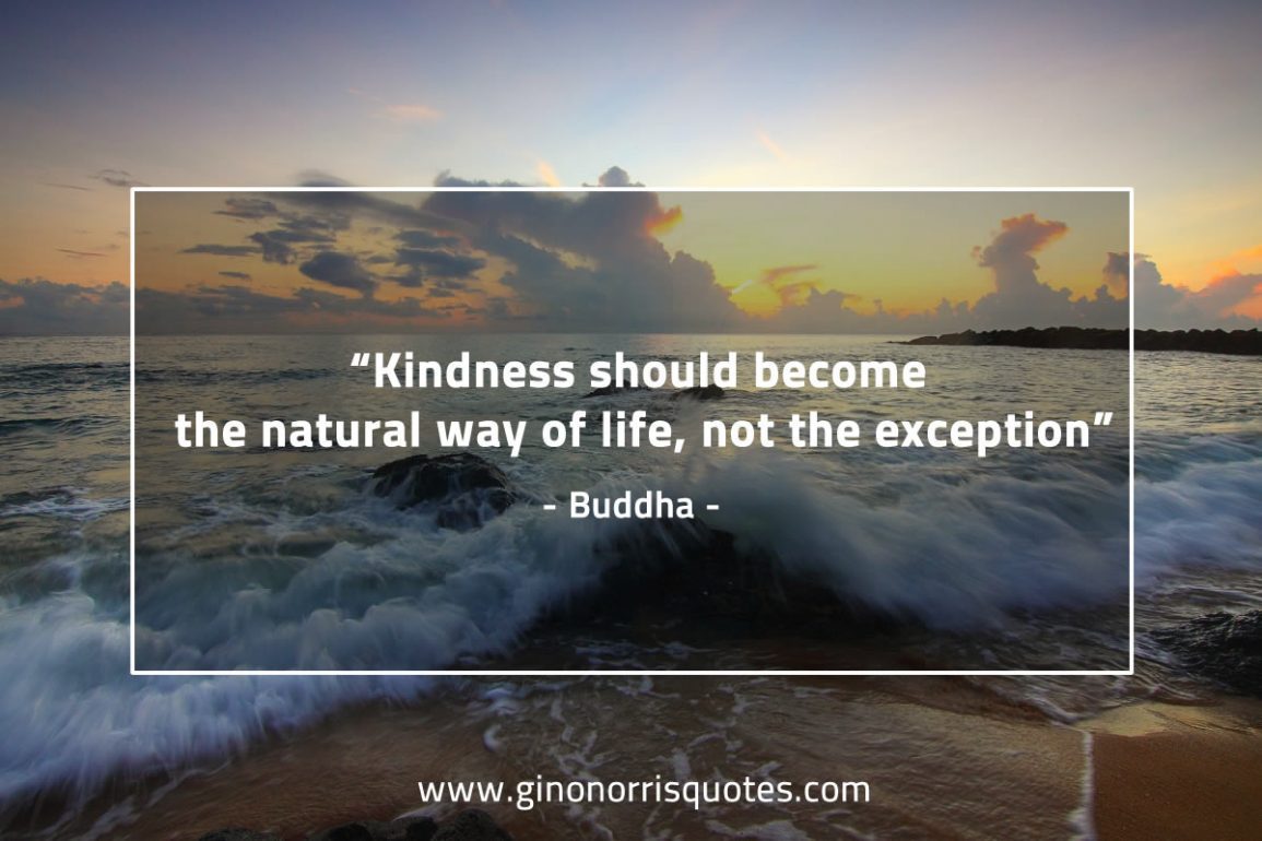 Kindness_should_become-BuddhaQuotes