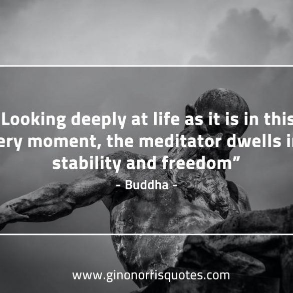 Looking_deeply_at_life-BuddhaQuotes