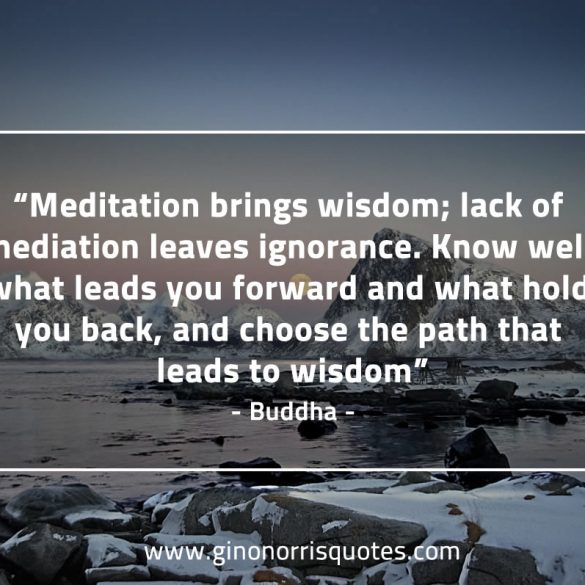 Meditation_brings_wisdom-BuddhaQuotes