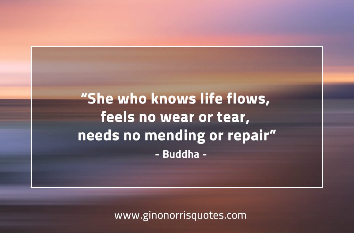 She_who_knows_life_flows-BuddhaQuotes