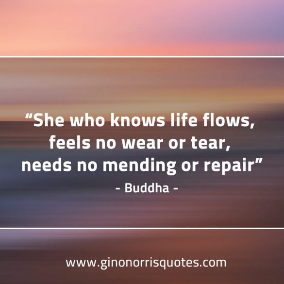 She_who_knows_life_flows-BuddhaQuotes