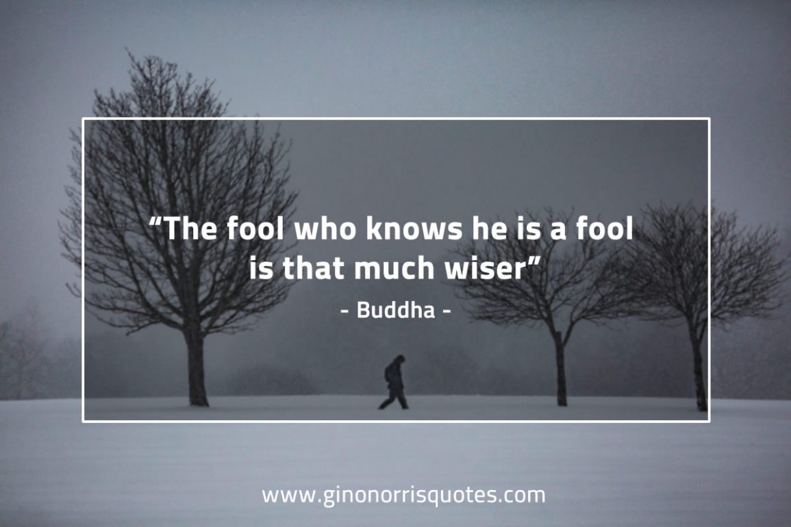 The_fool_who_knows-BuddhaQuotes