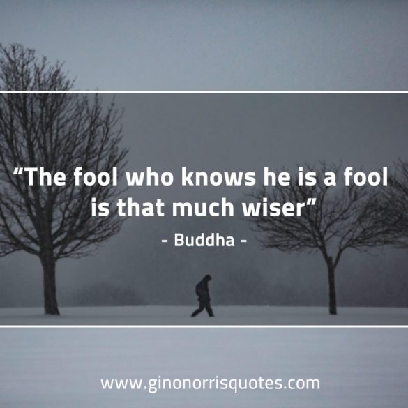 The_fool_who_knows-BuddhaQuotes
