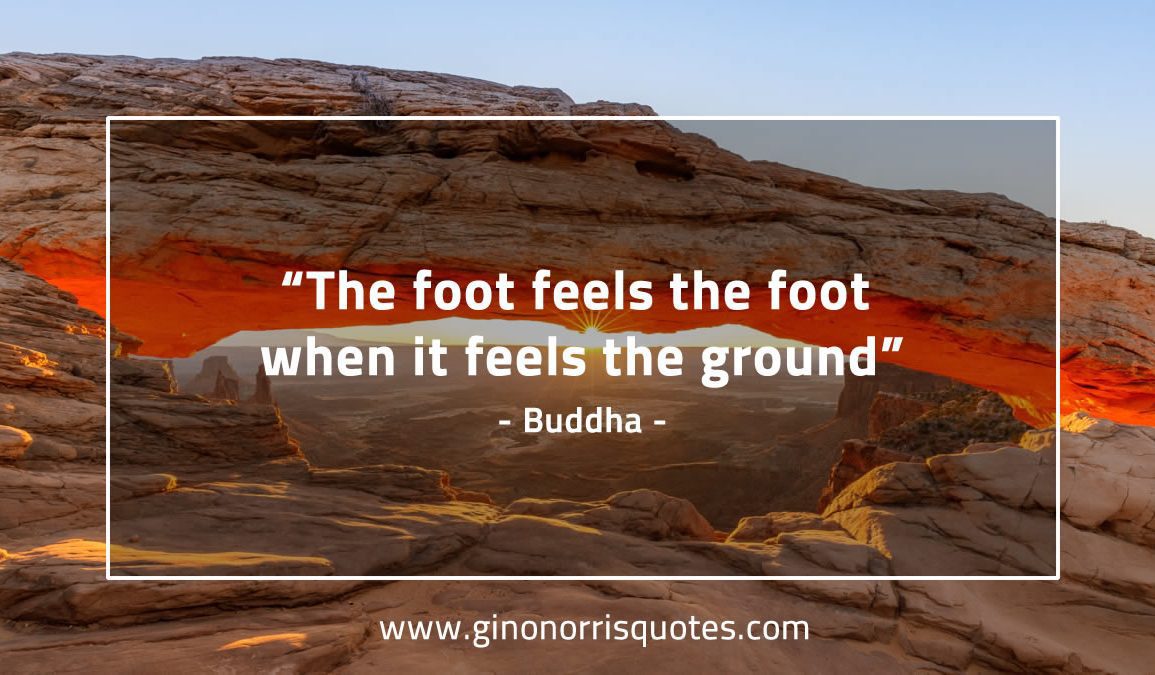 The_foot_feels_the_foot-BuddhaQuotes