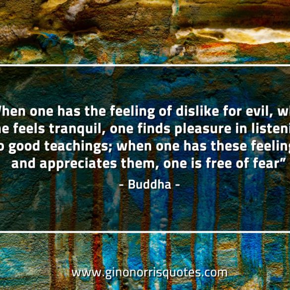 When_one_has_the_feeling_of_dislike_for_evil-BuddhaQuotes