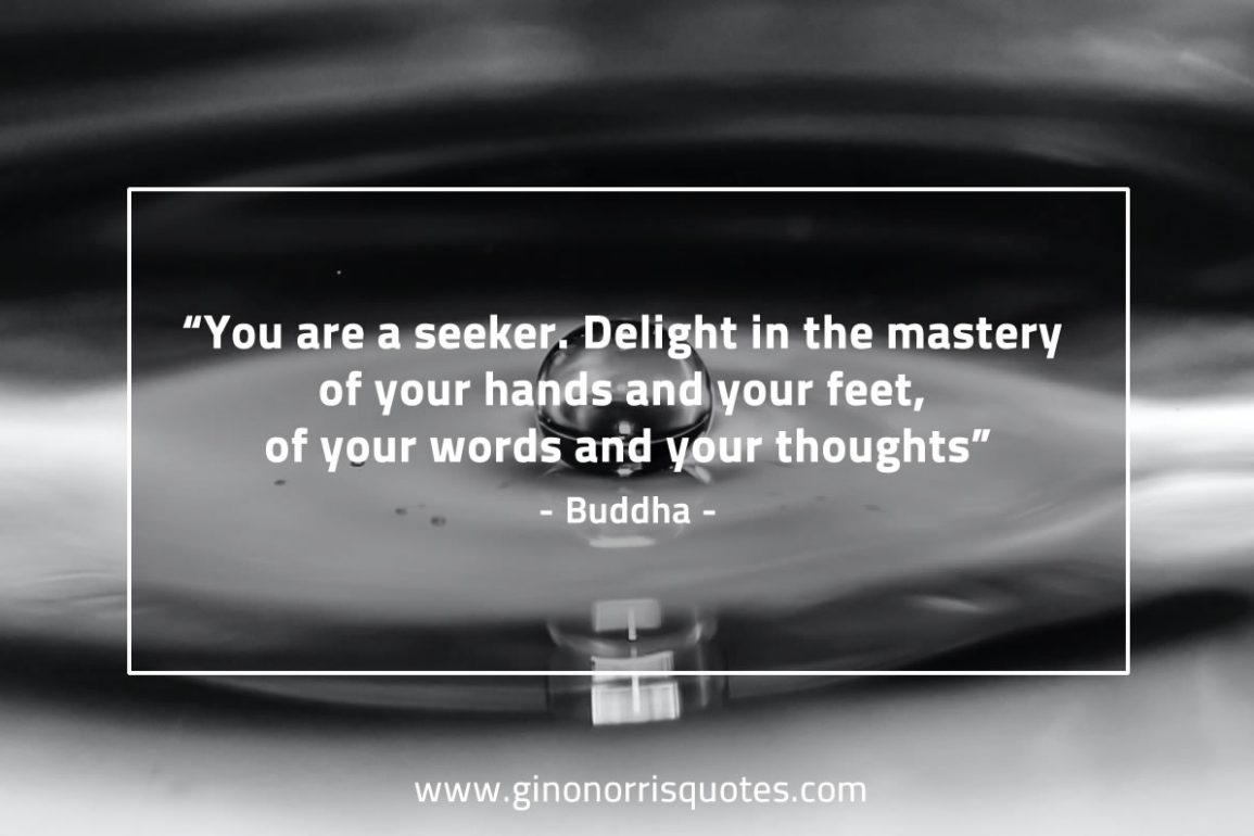 You_are_a_seeker-BuddhaQuotes