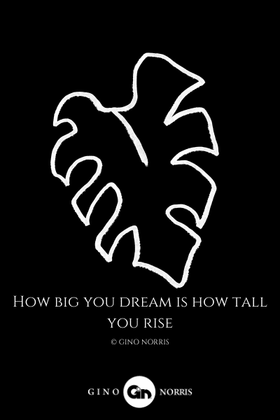 213LQ. How big you dream is how tall you rise