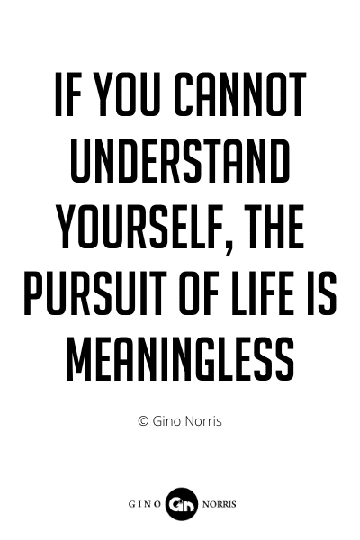 226PQ. If you cannot understand yourself, the pursuit of life