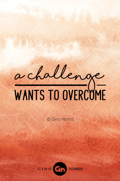 28PTQ. A challenge wants to overcome