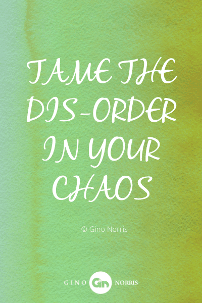 319WQ. Tame the dis-order in your chaos