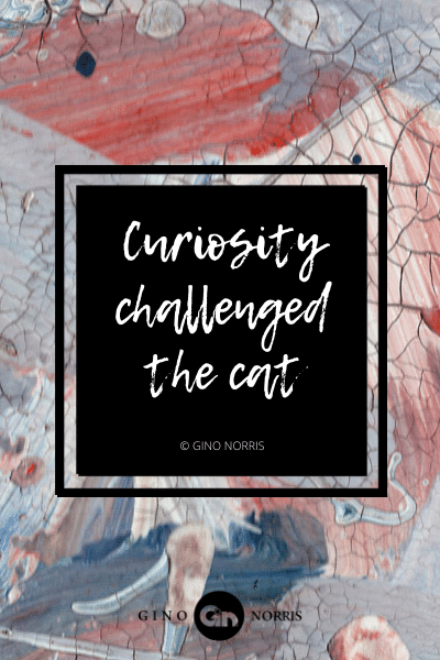 3AgQ. Curiosity challenged the cat